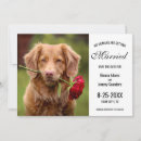 Search for my humans are getting married wedding save the dates Dog lover