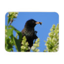 Recherche de regarder magnets Pour elle