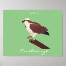 Search for raptors posters Osprey
