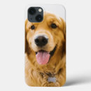 Search for golden retriever cases Cute