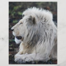 Recherche de faune prospectus Afrique