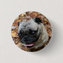 Recherche de carlins badges Pour tous