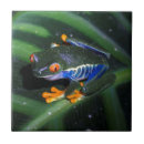 Search for tree frog tiles Outdoors