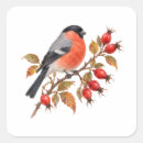 Search for bullfinch stickers Watercolor