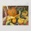 Recherche de gourde cartes postales Automne
