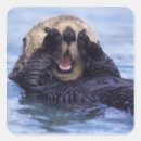 Search for cute otter stickers Sea