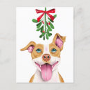 Recherche de pit bull christmas cards Noël