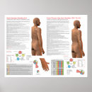 Search for meridian posters Acupressure