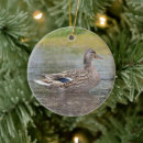 Recherche de flaque Canard