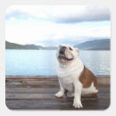 Search for sits stickers Outdoors