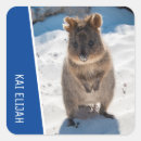 Search for made in australia stickers For kids