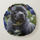 Search for staffordshire bull terrier pillows Dog