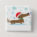 Recherche de teckels badges Doxie