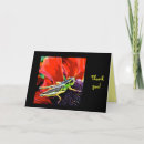 Search for grasshopper cards Insect