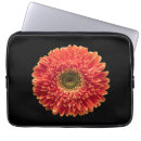 Search for orange gerbera electronics Garden
