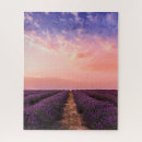 Search for lavender field puzzles Landscape