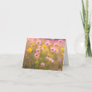 Search for daisies note cards Pretty