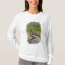 Search for fringilla Bird