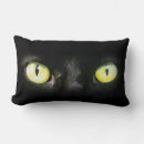 Recherche de halloween cat coussins Effrayant