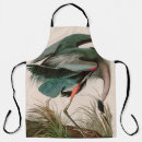 Search for great blue aprons Nature