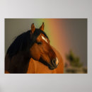 Search for stallion posters Wild horse