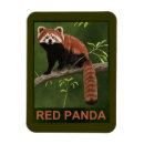 Recherche de panda magnete Chine