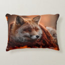 Search for sleeping fox pillows Autumn