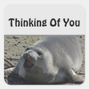 Recherche de ocean animal stickers Pour tous