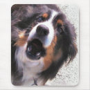 Search for herd dog mousepads Pet