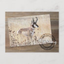 Search for antelope cards invites Landscape