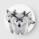 Recherche de loup blanc horloges Hiver