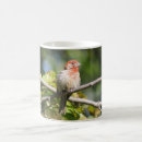 Search for house finch mugs Red