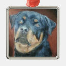 Search for rottweiler ornaments Pets
