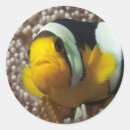 Search for underwater photography stickers Marine life