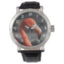 Recherche de flamant rose montres Nature