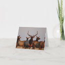 Recherche de élan vœux cartes Wapiti