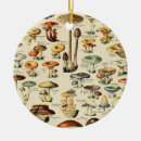 Search for vintage mushroom ornaments Food