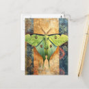 Search for luna moth postcards Cute