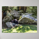 Recherche de habitats posters Ours