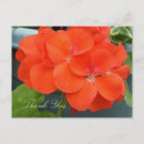 Recherche de beautiful cartes postales Pink