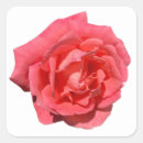 Search for floral photograph stickers Botanical
