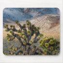 Search for joshua tree electronics California