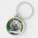 Search for tiger cat keychains Photography