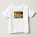 Search for buddhas tshirts Ayuthaya