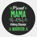 Search for kidney disease ribbon stickers Warrior