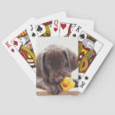 Recherche de chocolat jeux de cartes Chiot