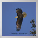 Search for flying eagle art Inspirational