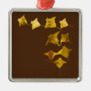Search for ray ornaments Orange
