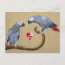 Search for parrot valentines day cards Heart