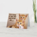 Search for kitty cat cards Kittens